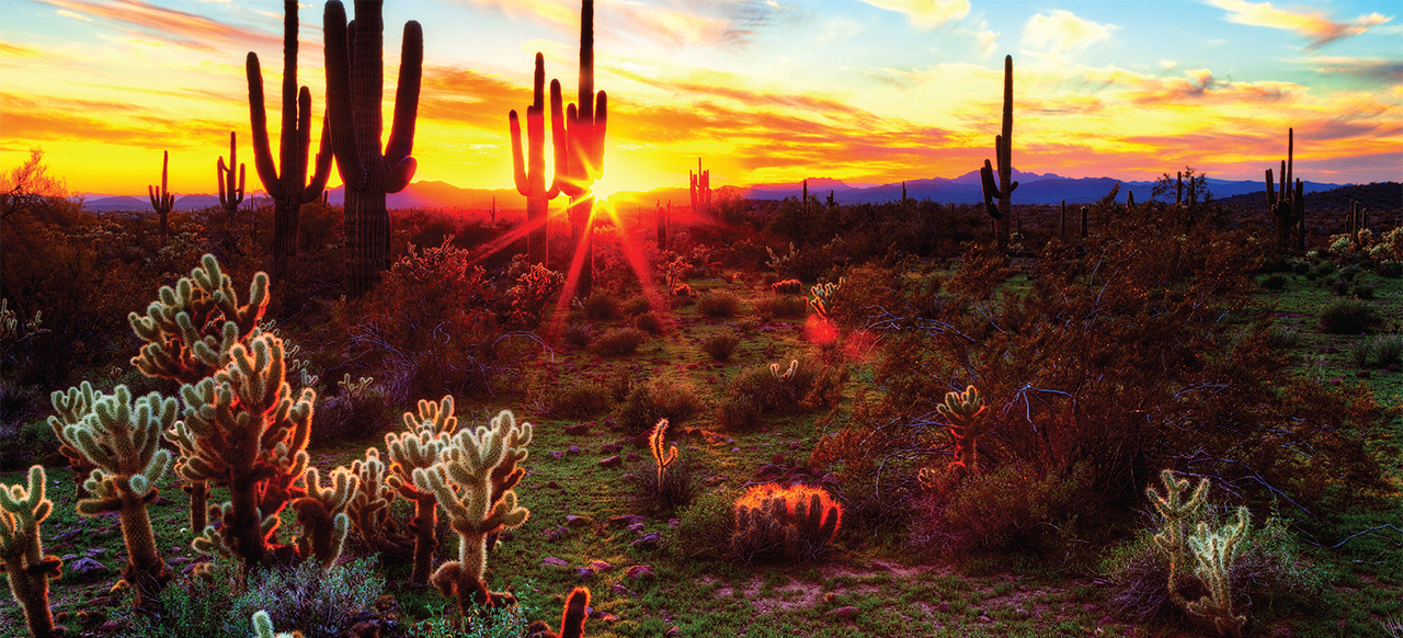 Living Waters Fellowship